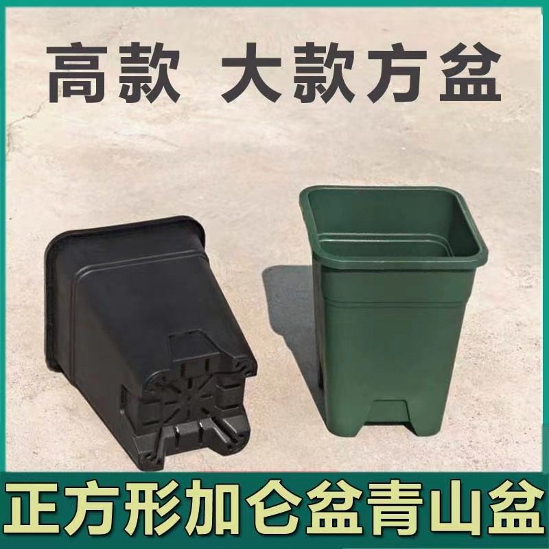 加仑盆正方形黑色绿色加仑