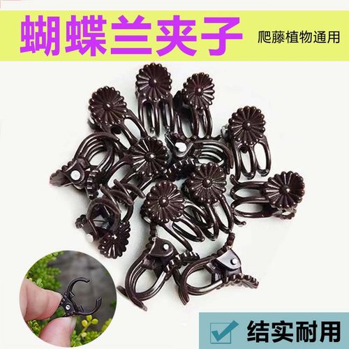 植物绿植固定器爬藤固定夹塑料夹子蝴蝶兰专用兰花藤蔓花卉卡子