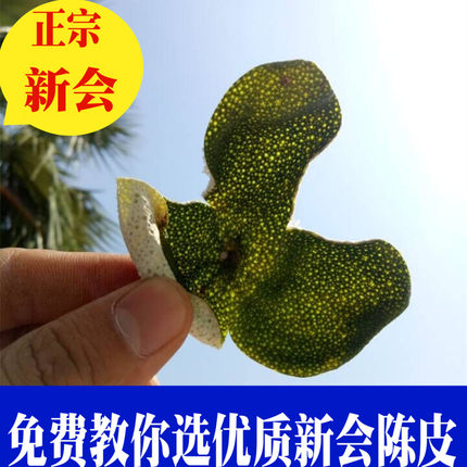 2025年正宗新会天马陈皮干5年10年2022年大红皮二红 青皮新皮500g