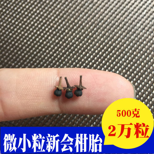天马小柑胎仔柑胎泡茶小柑胎干果