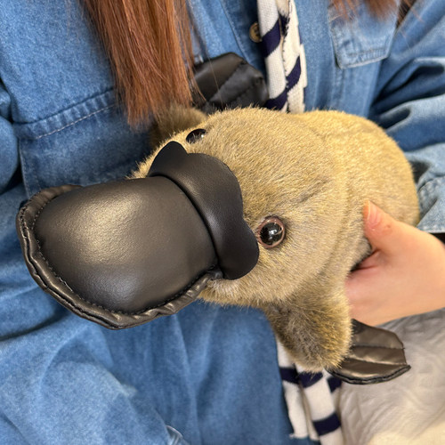 鸭嘴兽公仔玩偶毛绒玩具仿真娃娃