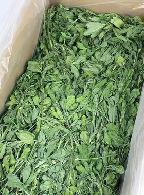 2026烘干紫花苜蓿草幼兔粮干草龙猫粮饲料食荷兰猪小麦草兔子用品