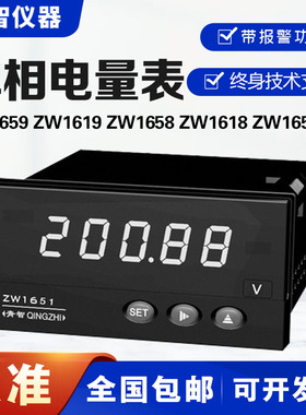 青岛青智ZW1659/ZW1619/ZW1658/ZW1618/0.2级单相单参数电量表
