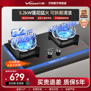 万和C3L90燃气灶台嵌两用灶具液化气天然气家用防烫双火蓝莲花5.2