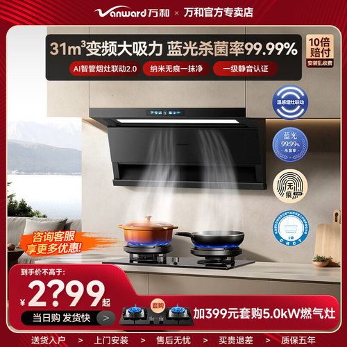 万和抽油烟机31m³大吸力