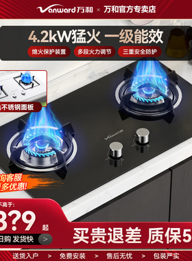 万和4.2KW嵌入式燃气灶猛火一级能效全进风台嵌两用玻璃不锈钢