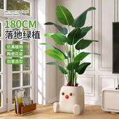 电视柜旁边落地摆件客厅彷真绿色植物高级感大型盆栽陶瓷室内植物