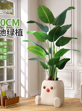 电视柜旁边落地摆件客厅彷真绿色植物高级感大型盆栽陶瓷室内植物