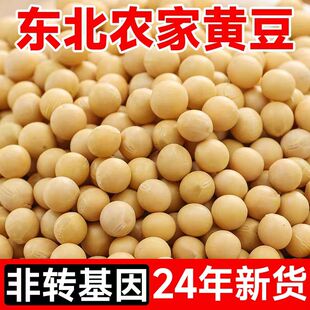 东北黄豆5斤新货农家自种土黄豆打豆浆专用非转基因黄豆大豆批发