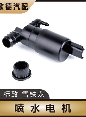 DS4S喷水电机DS5LS DS6 DS7 DS9玻璃水雨刷雨刮喷水电机 单头双头