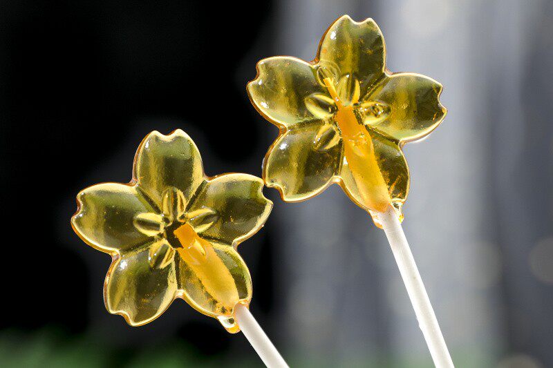 舌享蜂蜜棒棒糖果12支樱花形网红儿童零食 六一儿童节礼物装包邮