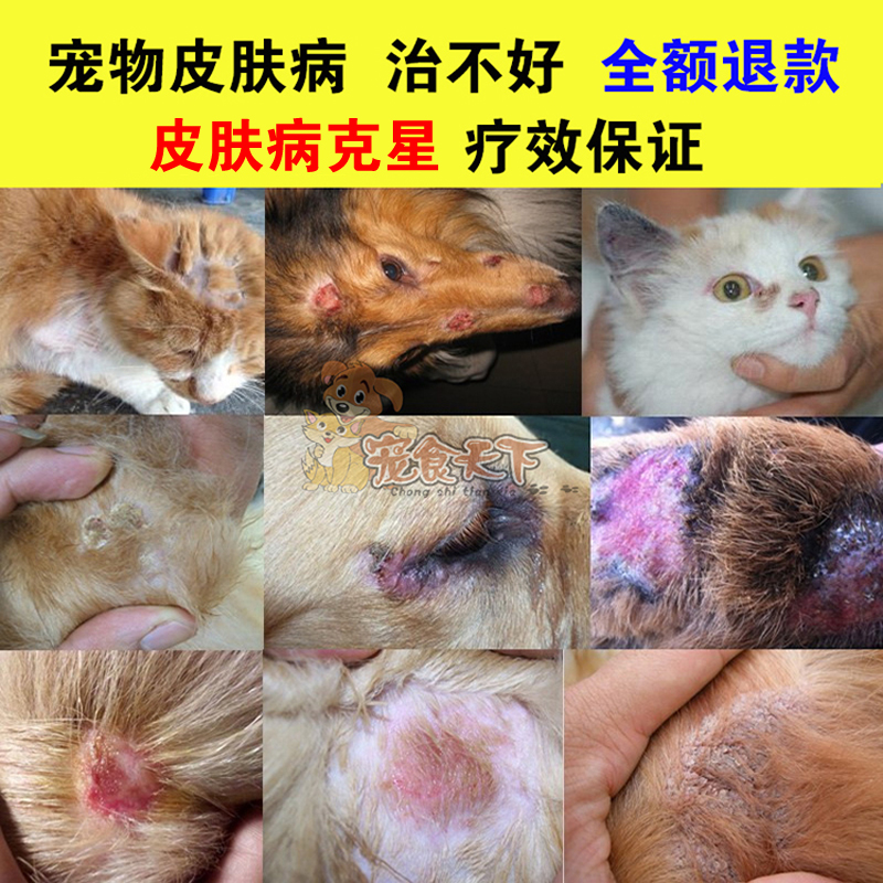 Tinea mite kang癣螨速肤康皮肤药 宠物犬猫咪狗狗皮肤病双克喷剂 宠物/宠物食品及用品 更多日用品 原图主图