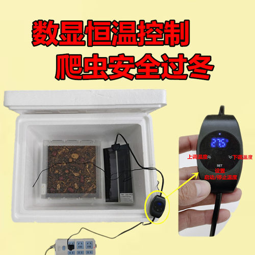 恒温宠物仓鼠保温过冬爬宠守宫蜥蜴鸣虫鹦鹉型加热保湿泡沫箱加厚