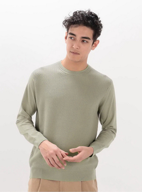 仅10件！ED1F1CE 儒雅绅士 14针圆领移针编织男士针织套衫