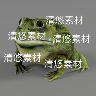 动物骨骼绑定动作模型文件 非实物D444 fbx格式 青蛙蛤蟆蟾蜍c4d
