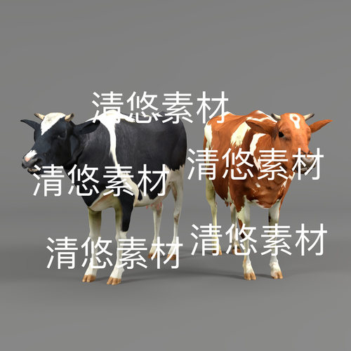 家禽奶牛动物3d文件 c4d fbx格式骨骼绑定 32个动作 非实物E258