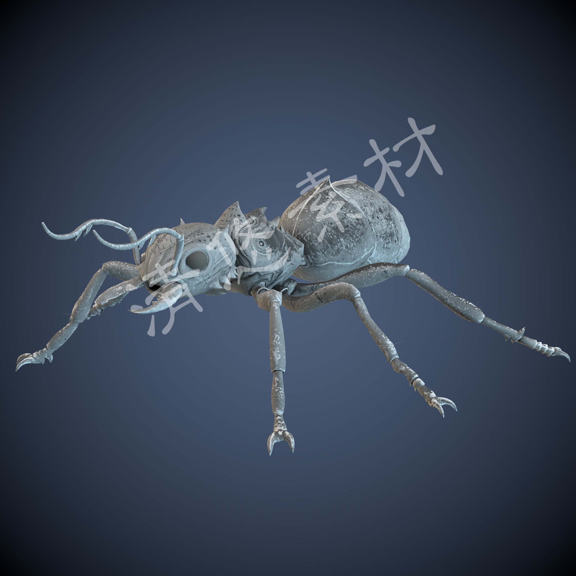 c4d fbx格式 骨骼绑定带动画模型蚂蚁节肢爬行动物昆虫 973
