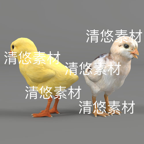 小鸡c4d fbx格式小黄鸡动物家禽骨骼绑定模型动作文件 非实物D425