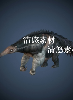 骨骼绑定带动作动物食蚁兽模型文件c4d fbx格式 非实物A379