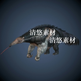 骨骼绑定带动作动物食蚁兽模型文件c4d fbx格式 非实物A379