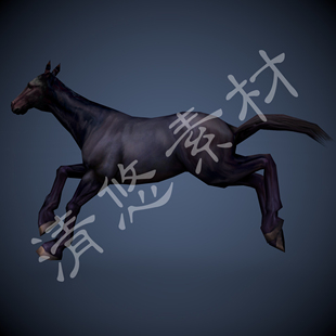 3dmax 329 c4d马模型黑马四足食草脊椎动物骨骼绑定带动画fbx格式