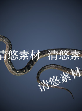 骨骼绑定带动作爬虫毒蛇动物文件c4d fbx格式蛇 非实物A452