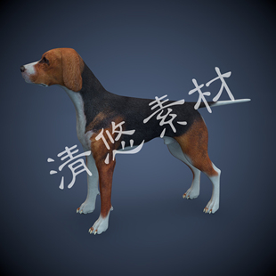 黑棕猎犬c4d模型小狗宠物犬科动物骨骼绑定fbx格式 非实物721 文件
