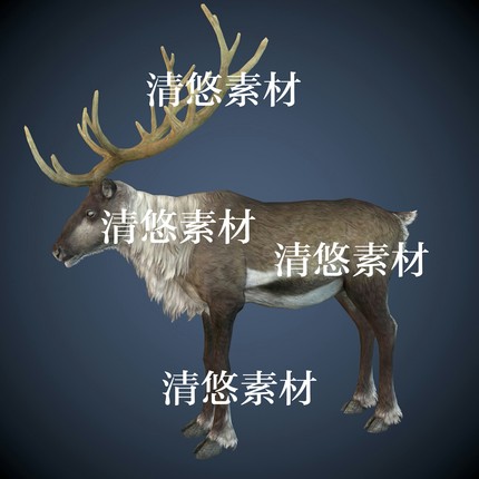 c4d fbx格式模型驯鹿四足动物骨骼绑定带动作模型 非实物A388