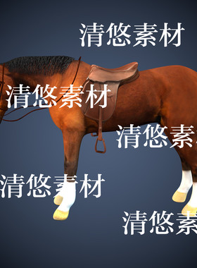 c4d fbx格式骨骼绑定带动作棕色马动物千里驹文件模型 非实物A972