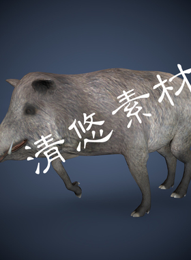 游戏怪物四足野生动物3dmax c4d fbx野猪模型骨骼绑定带动画 761