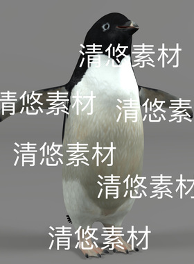 企鹅动物3d文件c4d fbx格式企鹅骨骼绑定模型动作 非实物E294