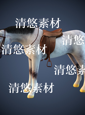 c4d fbx格式骨骼绑定带动作白色马匹千里驹文件3D模型 非实物A973