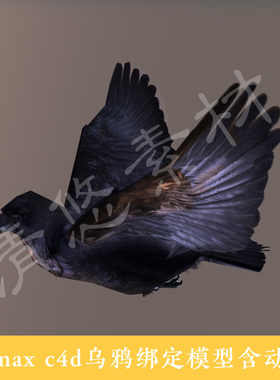 3dmax c4d模型 黑色乌鸦 鸟类 飞行动物 骨骼绑定 带动画 028