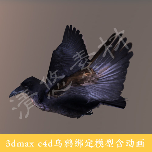 3dmax c4d模型 黑色乌鸦 鸟类 飞行动物 骨骼绑定 带动画 028