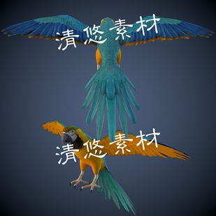 写实鹦鹉鸟类骨骼绑定带动作 非实物A196 fbx格式 飞行动物模型c4d