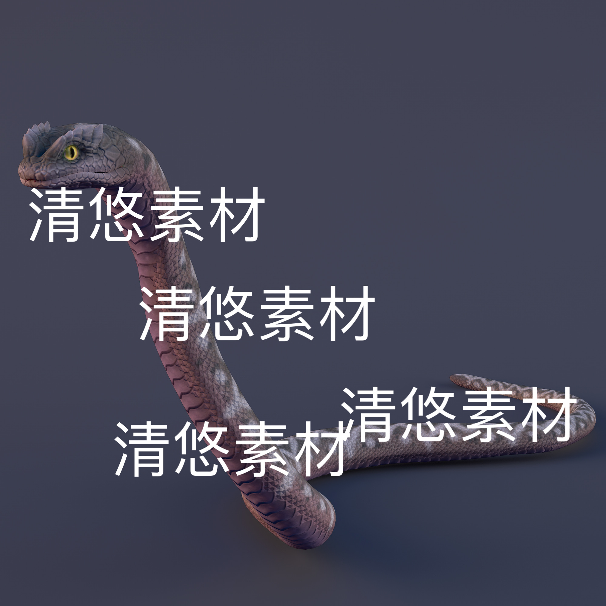 c4d fbx蛇游戏怪物模型骨骼绑定动作巨蟒爬行动物文件 非实物D562