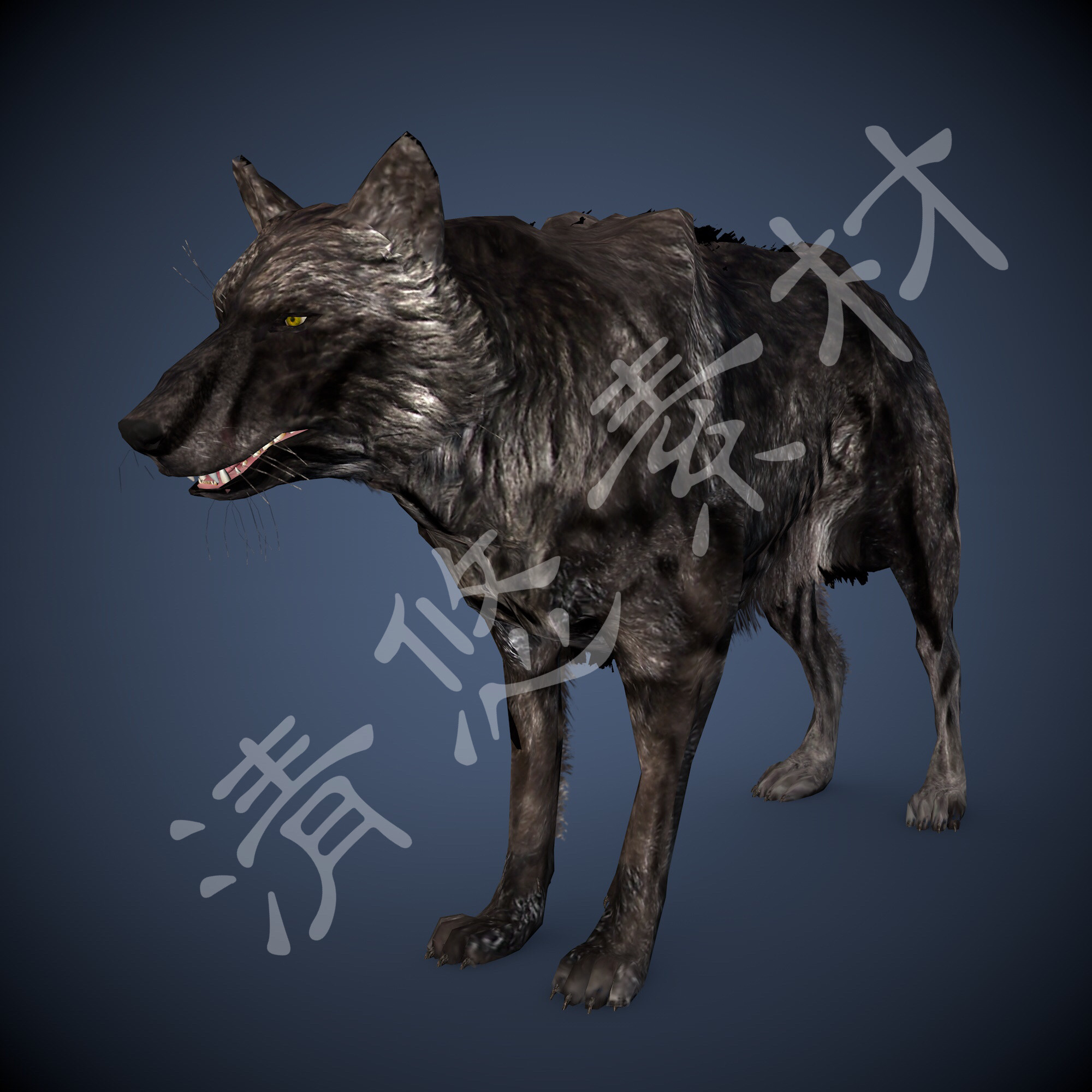 四足野生动物3dmax c4d黑狼模型 游戏怪物骨骼绑定动画fbx格式363