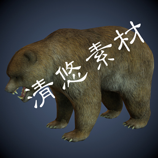 fbx格式 模型大棕熊黑瞎子骨骼绑定带动画855 c4d 野生动物3dmax
