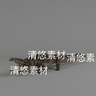 动物3D模型鳄鱼骨骼绑定动作文件 非实物B923 fbx格式 c4d