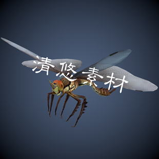 蜻蜓虫子骨骼绑定带动作 非实物A284 fbx格式 飞行动物昆虫模型c4d