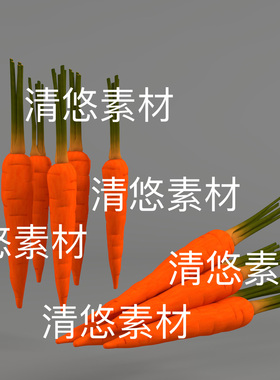 3dmax c4d fbx obj格式蔬菜红色胡萝卜模型文件 非实物D766