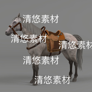 千里驹灰白马骨骼绑定动物模型3D文件 非实物D807 fbx格式 c4d