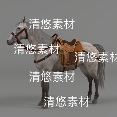 c4d fbx格式千里驹灰白马骨骼绑定动物模型文件 非实物D807