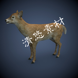 四足野生动物3dmax 757 c4d鹿模型小鹿骨骼绑定带动画fbx格式