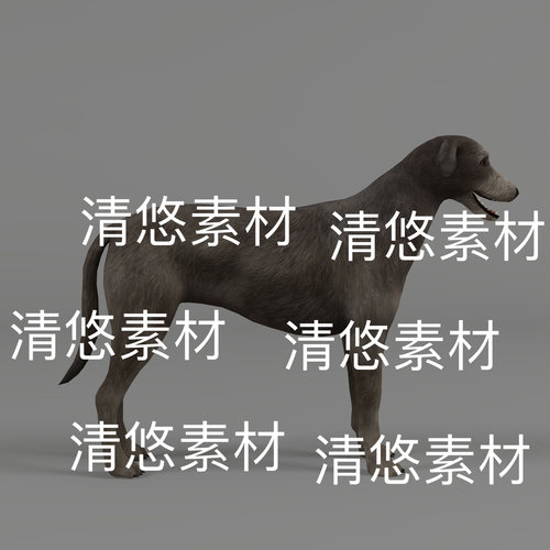 狗动物c4d fbx格式凯尔特猎狼犬骨骼绑定模型动作文件 非实物D608