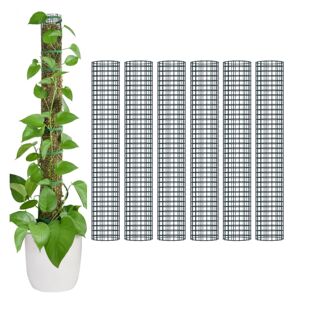植物保护器苔藓网 网格树干树皮植物防锈户外网罩金属植物保护网