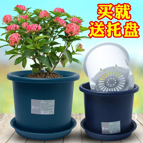 Доктор цветок Suyan Pot Plastic Пластиковый пластиковый пластиковый пластиковый водоснабжение на стойке балкон цветок зеленая роза Розам ручка