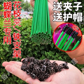 蝴蝶兰支架支撑杆造型架子园艺花卉花枝夹子蔓藤爬藤植物固定夹子