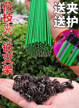 蝴蝶兰支架支撑杆造型架子园艺花卉花枝夹子蔓藤爬藤植物固定夹子