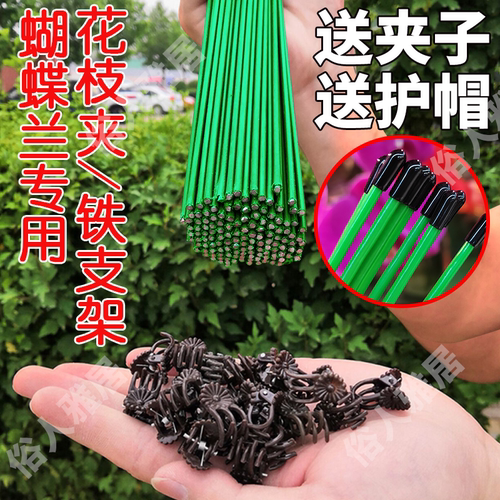 蝴蝶兰支架支撑杆造型架子园艺花卉花枝夹子蔓藤爬藤植物固定夹子
